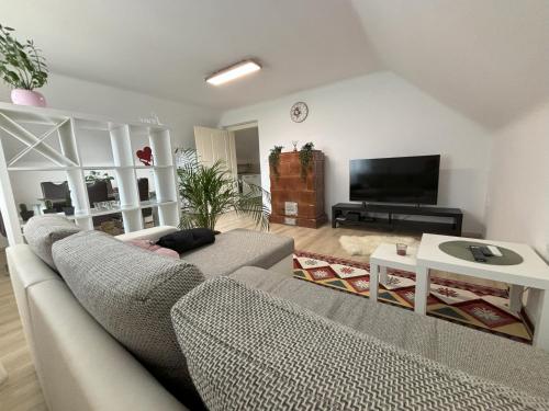 a living room with a couch and a tv at Apartments Heart in Ljubljana