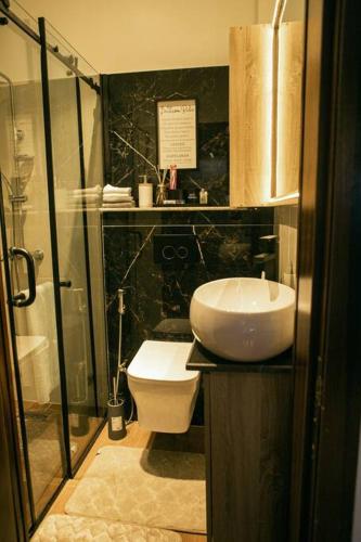 a bathroom with a sink and a toilet and a shower at Bogotá by Homefront Encanto in Abuja