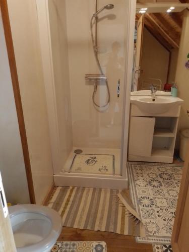 a bathroom with a shower and a sink at Chambre à la campagne in Saint-Aubin-en-Charollais