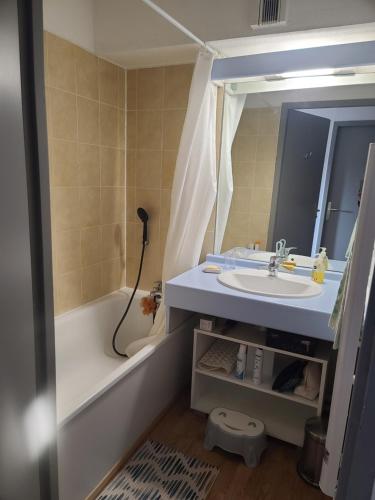 une salle de bain avec un lavabo, une baignoire et un miroir dans l'établissement Edelweiss17, à Saint-François-Longchamp