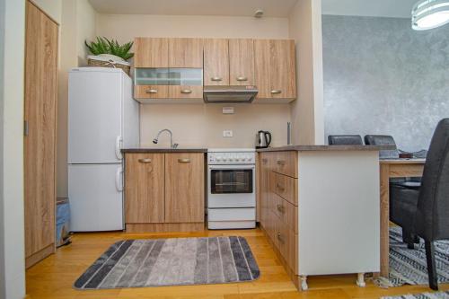 Η κουζίνα ή μικρή κουζίνα στο Luxury Kalman Centar Apartman