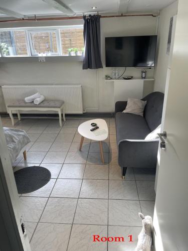 TV a/nebo společenská místnost v ubytování Bak Guesthouse
