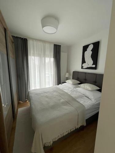 Un dormitorio con una cama grande y una ventana en Apartman IV u centru Kutine., en Kutina