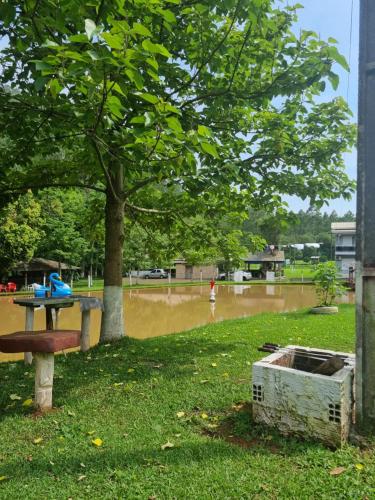 einen Park mit einem Baum und einem Picknicktisch und einer überfluteten Straße in der Unterkunft Sítio Recanto Nativo in Palmitos