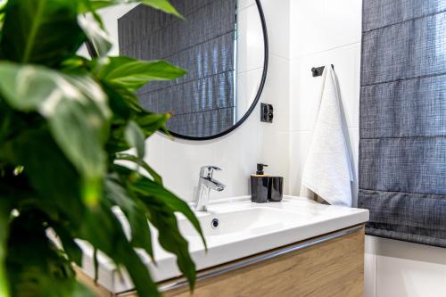 ein Badezimmer mit einem Waschbecken mit Spiegel und einer Pflanze in der Unterkunft U Majerczyka Polana Apartment in Zakopane