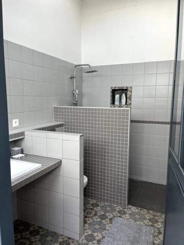 een badkamer met een toilet, een wastafel en een douche bij Loft lumineux en centre ville in Sète