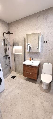 La salle de bains est pourvue de toilettes, d'un lavabo et d'une douche. dans l'établissement Stenhuset, à Linköping