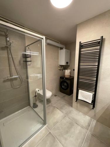 W łazience znajduje się prysznic, umywalka i toaleta. w obiekcie Apartman V u centru Kutine w mieście Kutina