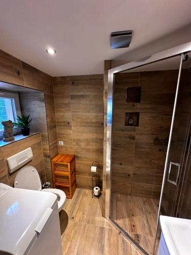 een badkamer met een douche en een toilet bij Moderní byt v centru města in Liberec