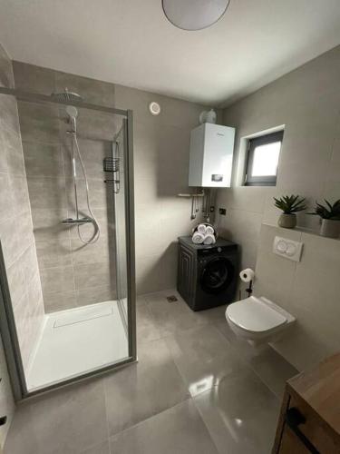 La salle de bains est pourvue d'une douche et de toilettes. dans l'établissement Apartman VI u centru Kutine, à Kutina