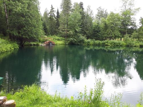 ein Wasserkörper mit Bäumen im Hintergrund in der Unterkunft Le Domaine de l'Étang in Frampton