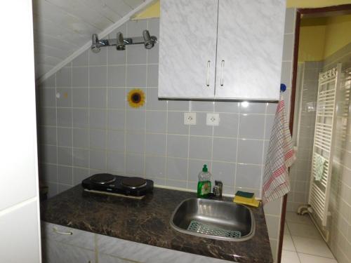 cocina con fregadero y encimera en Privat Alena, en Harrachov