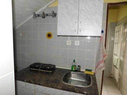 Foto de la galeria de Privat Alena a Harrachov