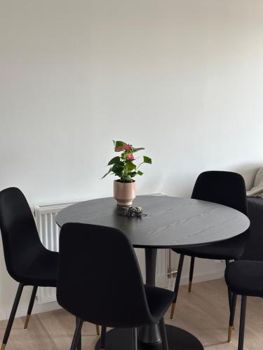 una mesa con cuatro sillas y una maceta en ella en Snäckbacken, en Visby