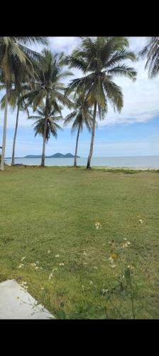 two palm trees in a field with the ocean at Baan Be Beach in Lang Suan