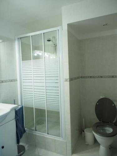 une salle de bain avec toilettes et douche en verre dans l'établissement Chaleureuse maison en pierres avec terrasse, à Auzat