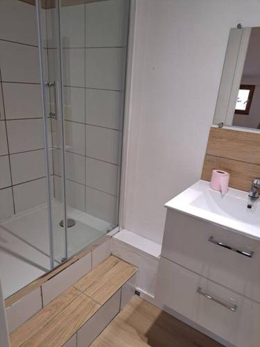 une salle de bain avec douche et lavabo dans l'établissement Budgetbnb 195A,studette rue populaire, à Toulon