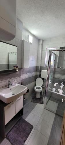 y baño con lavabo, aseo y ducha. en Apartman Vagon en Brčko