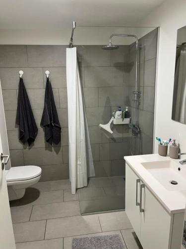a bathroom with a shower and a toilet and a sink at Charming Aalborg Apartment With parking in Aalborg