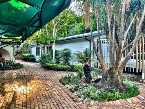 a house with a palm tree and a brick driveway at Starlight Stay in Groblersdal