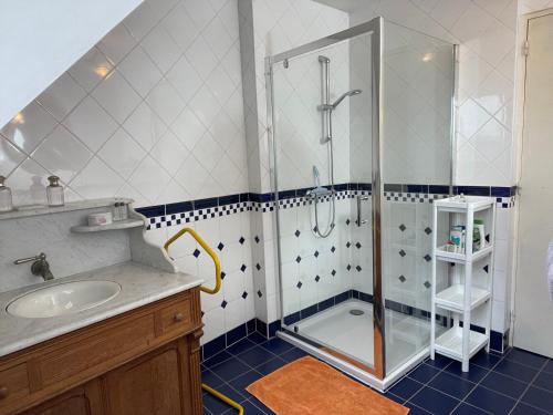 ein Bad mit einer Dusche und einem Waschbecken in der Unterkunft Chez Rosa in Haguenau