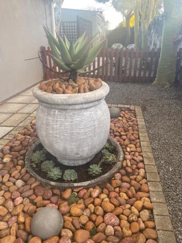 a large vase with a plant in the middle of a garden at The Aloe in East London