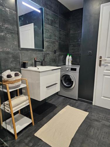 łazienka z umywalką i pralką w obiekcie Appartement T2 bis à morbier w mieście Morbier