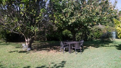 a table and chairs under a tree in the grass at Apartamentos Rias Baixas in Moaña