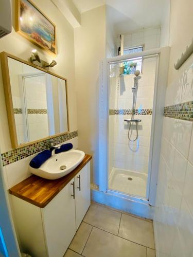 une salle de bain avec un lavabo et une douche dans l'établissement ''Luigi'' BALCON SUR LA MER et le Port de Sète, à Sète