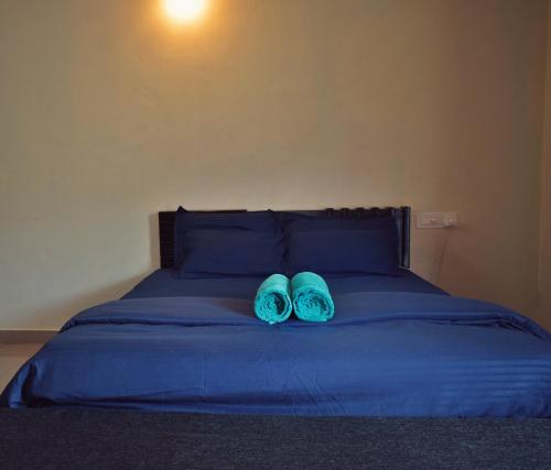 バガモンにあるchaithanya wellness centreの- ベッドの上に座る青い枕2つ