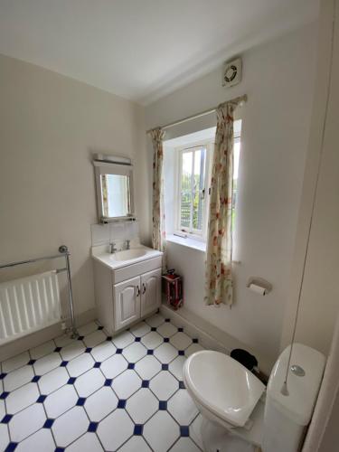 a bathroom with a toilet and a sink at The Elsted Inn in Trotton