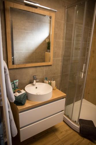 La salle de bains est pourvue d'un lavabo et d'une douche. dans l'établissement La Róna Rooms, à Kiskőrös
