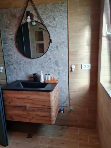 een badkamer met een wastafel en een spiegel bij Vila Lac in Braşov