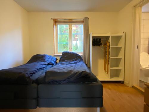 Posto letto in camera con finestra di Apartment Brevik a Brevik