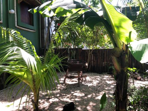 a chair sitting in the middle of a garden at El Marabu Chill'n Surf in Aposentillo