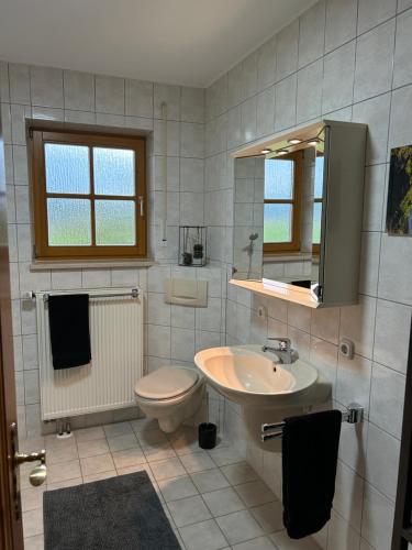 ein Badezimmer mit einem Waschbecken, einem WC und einem Spiegel in der Unterkunft Gehobene Ferienwohnung Madera Campesina in Hunderdorf