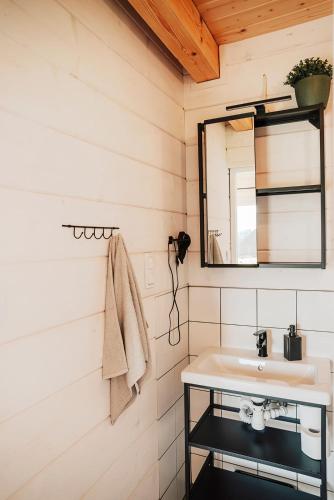 a bathroom with a sink and a mirror at Folwark Soblówka - Domek AGAT in Soblówka