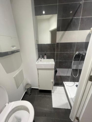 uma casa de banho com um WC e um lavatório em Apartament Brussels 2 em Bruxelas