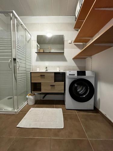 La salle de bains est pourvue d'un lave-linge et d'une douche. dans l'établissement Cosy Studio, à Fréjus
