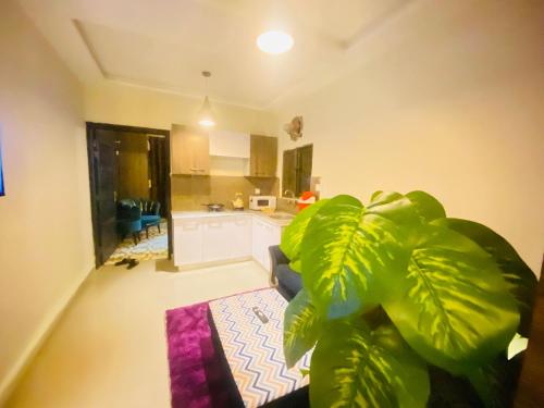 ein Wohnzimmer mit einer Pflanze und einer Küche in der Unterkunft Viceroy Executive Hotel Apartments Islamabad in Islamabad