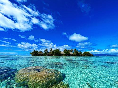 Un'isola nell'oceano con una roccia in acqua di EDEN Private Island TAHAA a Patio