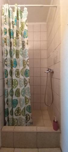 y baño con ducha y cortina de ducha. en Vendela sobe, en Banja Luka