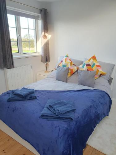 een slaapkamer met een bed met blauwe lakens en kussens bij Adams Lodge in Wexford