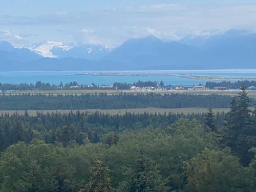 Gallery image of Apartment, walkout basement, Central Homer, Views! in Homer