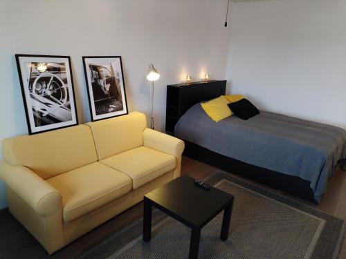 a living room with a couch and a bed at Viihtyisä yksiö Korialla in Kouvola