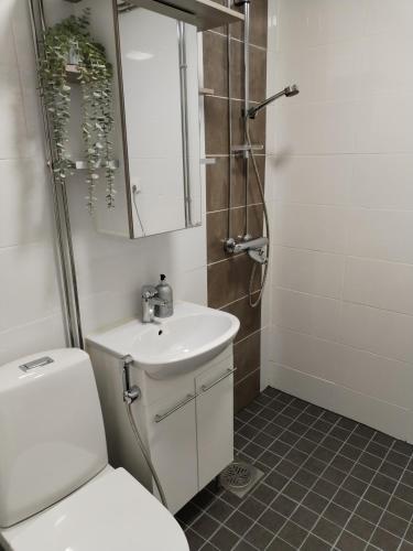 La salle de bains est pourvue de toilettes, d'un lavabo et d'une douche. dans l'établissement Viihtyisä yksiö Korialla, à Kouvola