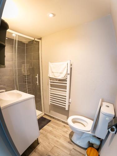 a bathroom with a toilet and a shower and a sink at Résidence Artemis Paris Orly Aéroport in Villeneuve-le-Roi