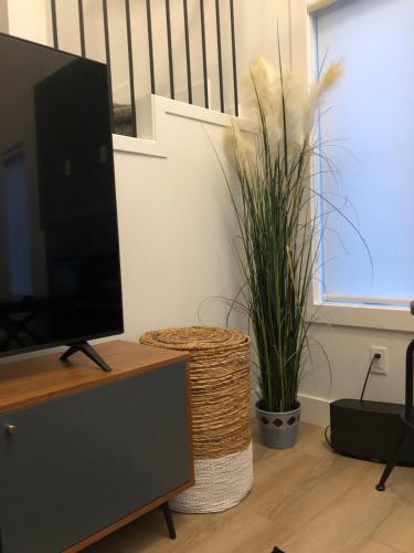 Southpointe_Homestay – Photos 4