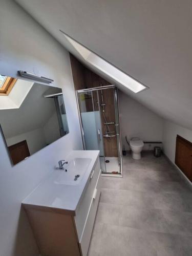 une salle de bain avec un lavabo, une douche et des toilettes dans l'établissement Maison 8-10 personnes, à Vrocourt