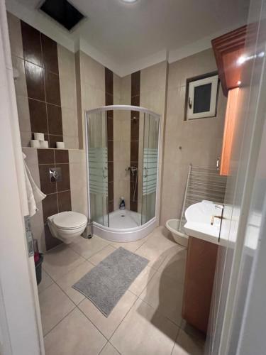 La salle de bains est pourvue d'une douche, de toilettes et d'un lavabo. dans l'établissement Centrum Apartman, à Nyíregyháza